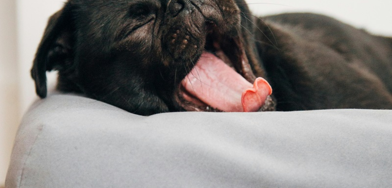 Materace do spania z szybką dostawą - gdzie kupić?