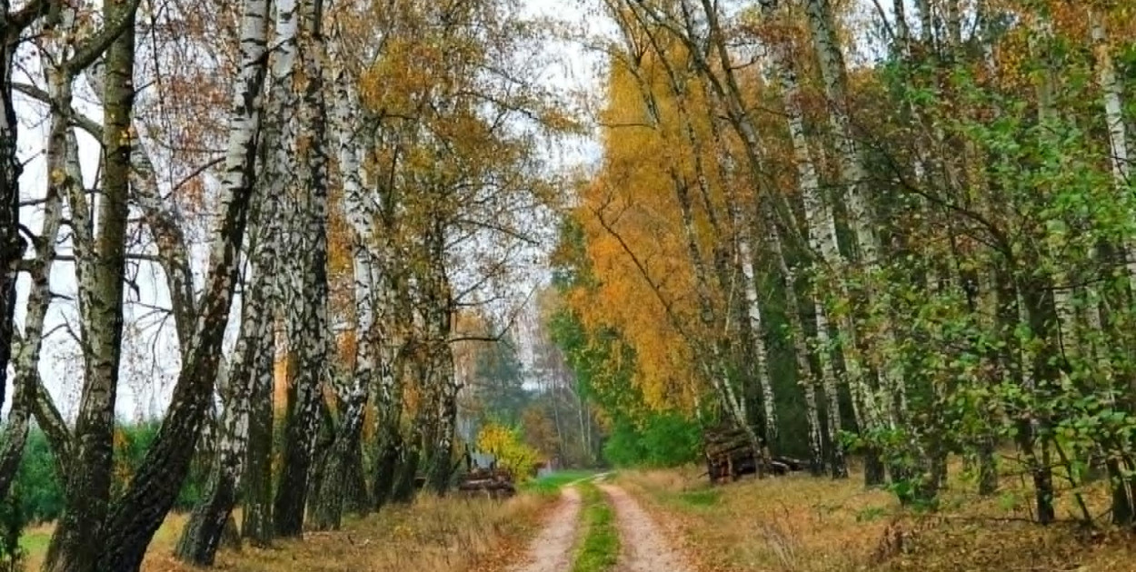 fot. Przemysław Matyjasiak