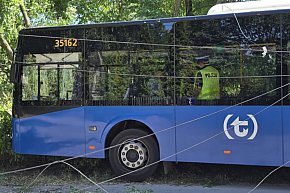 Autobus wjechał w drzewo-2561