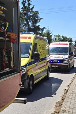 Autobus wjechał w drzewo-2561