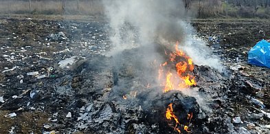 Ogień na nadwiślańskich łąkach, Straż Miejska w akcji -105249