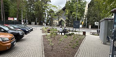 Radna apeluje o więcej zieleni przy kościele -106577