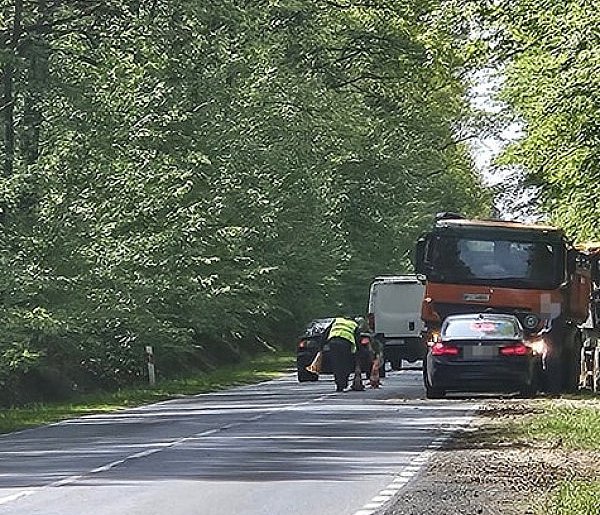 Policja wstrzymała prace drogowe-106697