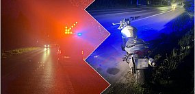 Motocyklista zderzył się z dzikiem