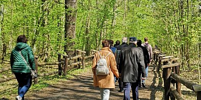 Spacer ulicami Piaseczna – odkryj Józefosław na nowo!-106839