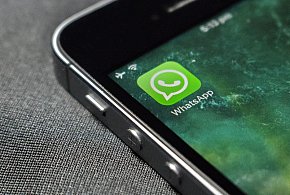 WhatsApp się zmienia. Czy aplikacja będzie płatna?-107303