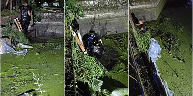 Rozpadający się jaz wciąż bez właściciela-107497