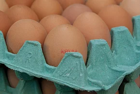Salmonella na jajach znanej marki. Nie jedz, jeśli masz je w lodówce!-107508