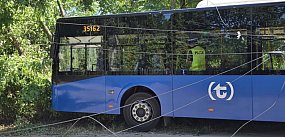 Autobus wjechał w drzewo
