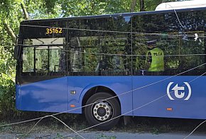 Autobus wjechał w drzewo-107544