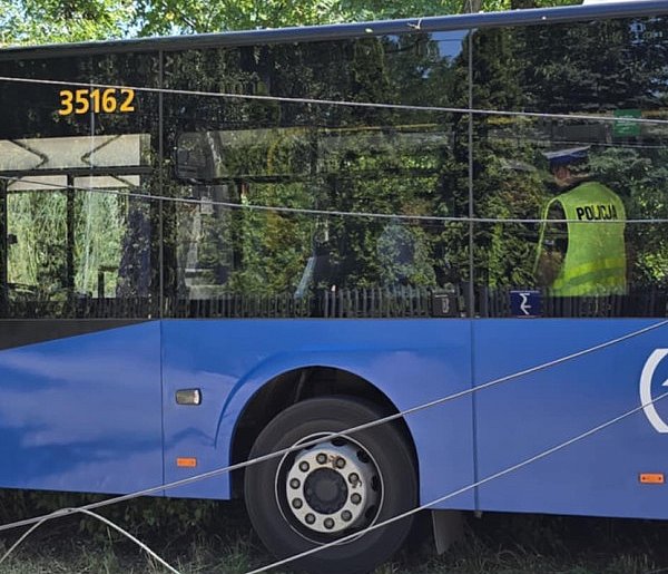 Autobus wjechał w drzewo-107544