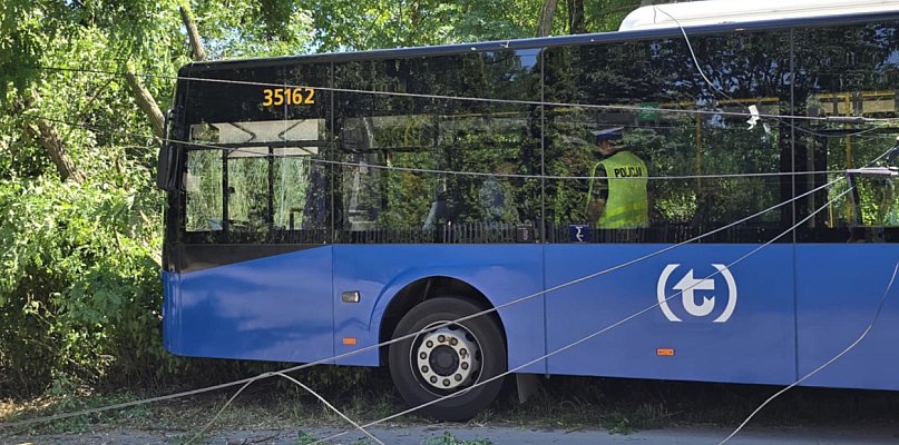 Autobus wjechał w drzewo - 107544