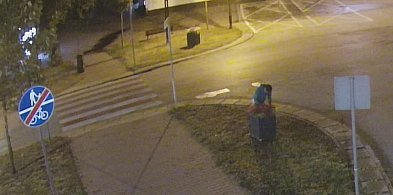 Nocna złodziejka kwiatów ujęta! Zdewastowała dziesiątki miejskich roślin-107683