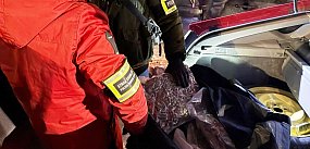 Z bagażnikiem pełnym narkotyków i pieniędzy