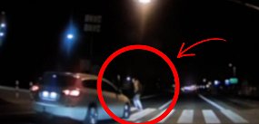 Nie zauważył pieszego. Zauważyła go kamera innego kiero