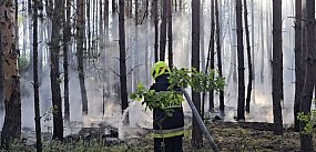 Pożar lasu. Spłonęło około pół hektara poszycia