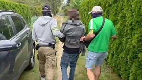 21 krzaków konopi indyjskiej w ROD