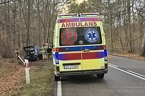 Wypadła z drogi na łuku-2691