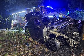 Zjechała z drogi i uderzyła w drzewo! Samochód stanął w ogniu-108596