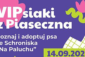 VIPsiaki z Piaseczna w parku miejskim - 108784