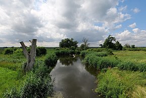 Co dalej z nowym parkiem narodowym? Minister klimatu zdradza plan po wecie-109841