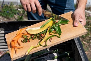 Kontrole kompostowników - 109898