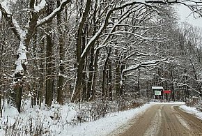Zimowe utrudnienia w powiecie piaseczyńskim-110037