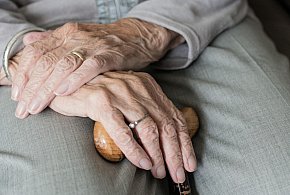 Te osoby dostaną dwie emerytury w grudniu. ZUS przesuwa przelewy-110047