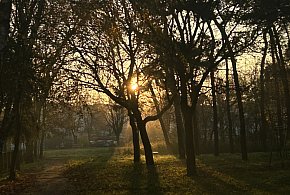 Nadchodzi najkrótszy dzień w 2025 roku. Sprawdź, kiedy przypadnie-110520