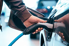 Coraz częściej dochodzi do takich kradzieży. Powody zaskakują-111050