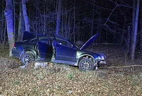 Groźne zdarzenie na drodze nr 79. Auto wypadło z trasy