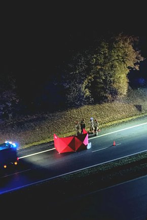 Śmiertelne potrącenie na S7-2678