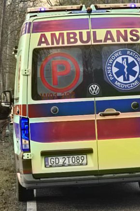 Wypadła z drogi na łuku-2691