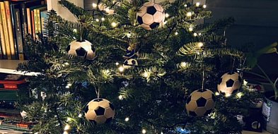 Jaka choinka w tym roku? Pochwalcie się swoim świątecznym drzewkiem-110608