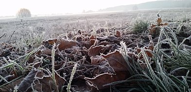 Ostrzeżenie meteo. Zima nie powiedziała ostatniego słowa
