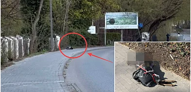 Makabryczne znalezisko w Chylicach. Zwierzę pozostawione na chodniku