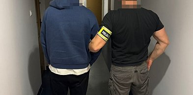 Kryminalni zlikwidowali ponad 3 kg narkotyków