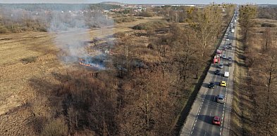 Pożar trawy! Strażacy w akcji