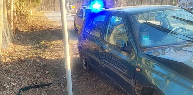 Plan nastolatka był prosty: zwalić winę na sarny