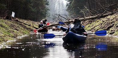 Sprzątanie przynosi efekty