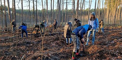 Sadzenie Lasu Dobrej Woli