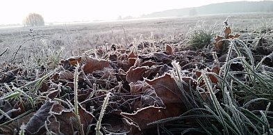 Ostrzeżenie pierwszego stopnia dla Piaseczna i okolic