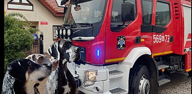 „Adoptuj psiaka ze strażakami”. Wyjątkowy piknik