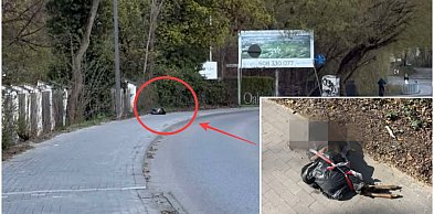 Makabryczne znalezisko w Chylicach. Zwierzę pozostawione na chodniku