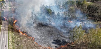 8 zastępów straży pożarnej uratowało drewniany dom