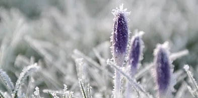 Nie uwierzysz, jak niska będzie temperatura tej nocy!