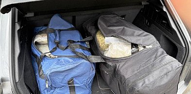 49 kilogramów narkotyków przejętych