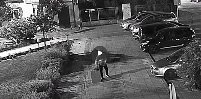 Kradł kwiatki z miejskiej rabatki... Straż Miejska dała mu szansę