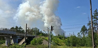 Pożar lasu w Bronisławowie. Ogień objął 8 tysięcy m kw.
