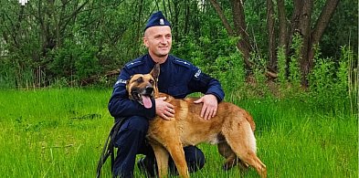Laner – wierny przyjaciel odchodzi na zasłużoną emeryturę-108753